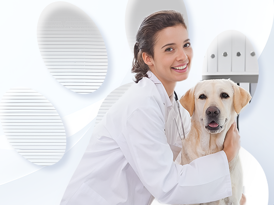 中国·1277星际电子游戏(股份有限公司)-Official website